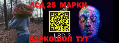ПСИЛОЦИБИНОВЫЕ ГРИБЫ Нальчик