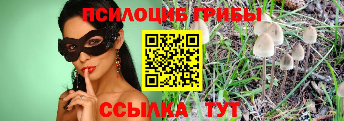 Псилоцибиновые грибы GOLDEN TEACHER Уссурийск