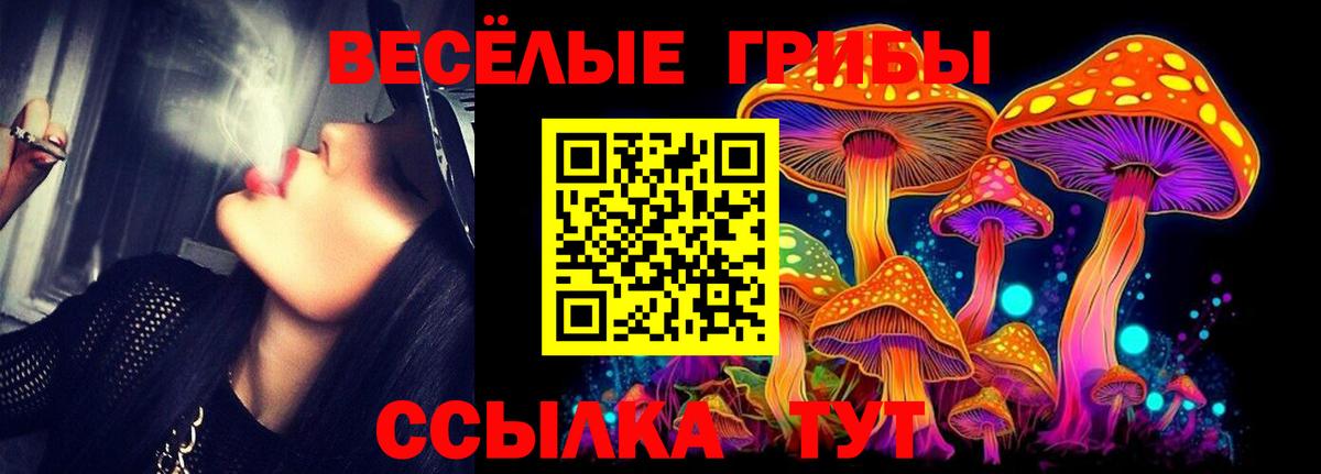 Галлюциногенные грибы MAGIC MUSHROOMS  Вход с VPN  Уссурийск  Галлюциногенные грибы Magic Shrooms 
